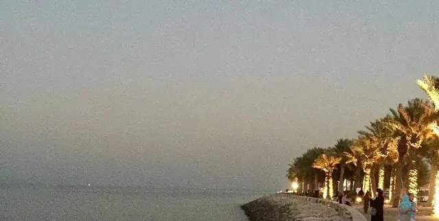 ممشى بحري تحيط به أشجار النخيل